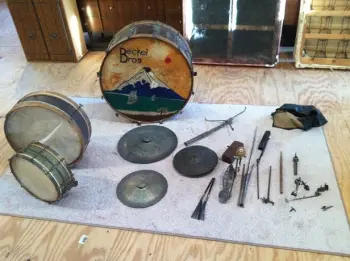 Can anyone tell me what i have?