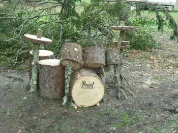 Pine Shells....