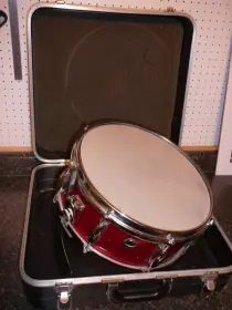 Help with snare?  Rogers ???