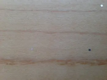 Sanding Silver Sparkle Wrap
