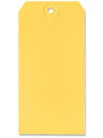 Original 1967 Dynasonic Instruction Tag