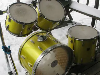 Should I grab these Tama's?