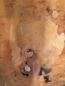 1964 Ludwig Clubdate -Newbie- In way over his head!