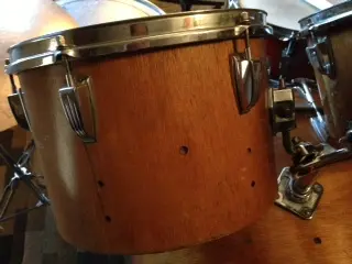 Are These Really Ludwigs?
