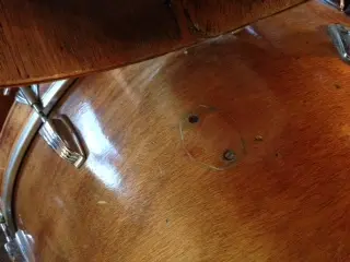 Are These Really Ludwigs?
