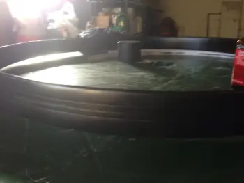A Lurkers's first restoration