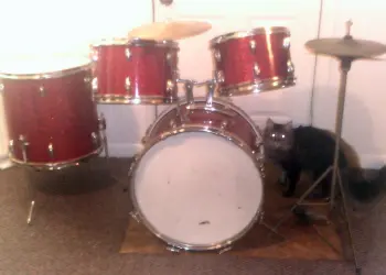 Nice set of vintage MIJ's