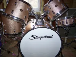 Slingerland Questions