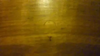 Mystery (Turkish?) Cymbal