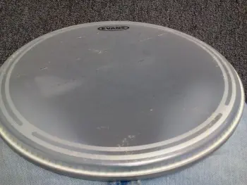 NOS EVANS Heads - 50% off BLOW OUT sale