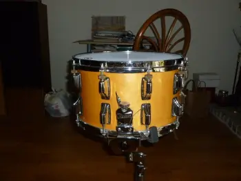 Rogers Big R Wood Dynasonic