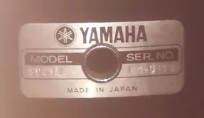 Do I have a Gem?