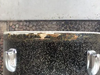 Slingerland Sparkling Black Pearl