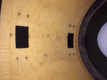 Mold removal