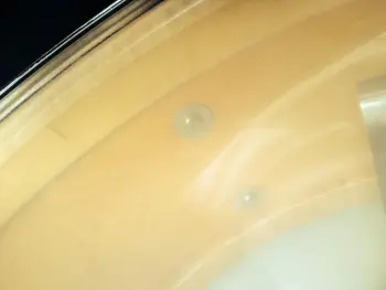 Shifting Slingerland lugs