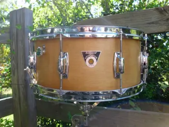 fun snare project
