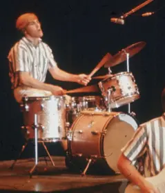What Drums is Dennis Wilson playing ?
