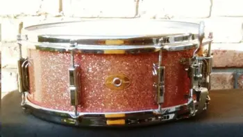 Shelley Manne Leedy COB Snares?