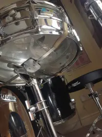 Ludwig Identification Please