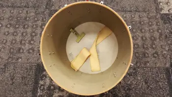 Rogers 380 questions