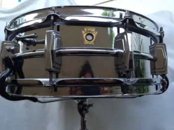 Hollywood drums show tomorrow