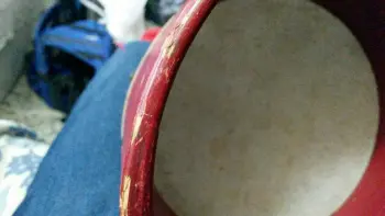 Toy or not?