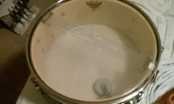 Ludwig COW Snare Drum
