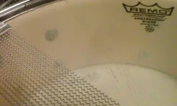 Ludwig COW Snare Drum