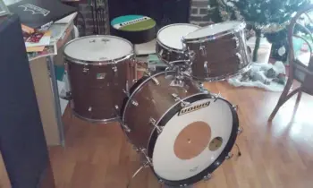 Ludwig Walnut Cortex