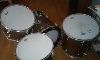 Ludwig Walnut Cortex