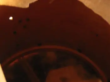 Ludwig and Ludwig snare