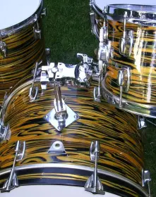 Ludwig Standard Avacodo Strata
