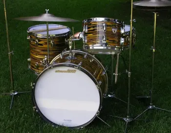 Ludwig Standard Avacodo Strata