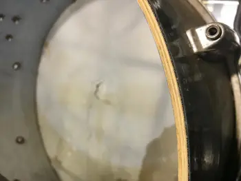 Old Gretsch Round Badge Snare Find