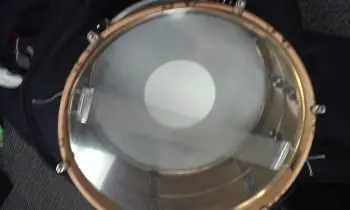 Mystery Snare