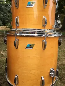 1971 Ludwig 3-ply thermogloss &quot;Bonham&quot; Kit