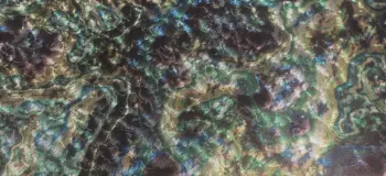 Professor Z's Abalone Drum Wrap