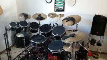 Ludwig Black Panther 18"