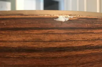 Fibes snare, wood grain wrap?