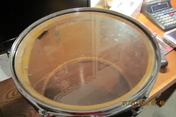 13 in Ludwig Black Panther Tom